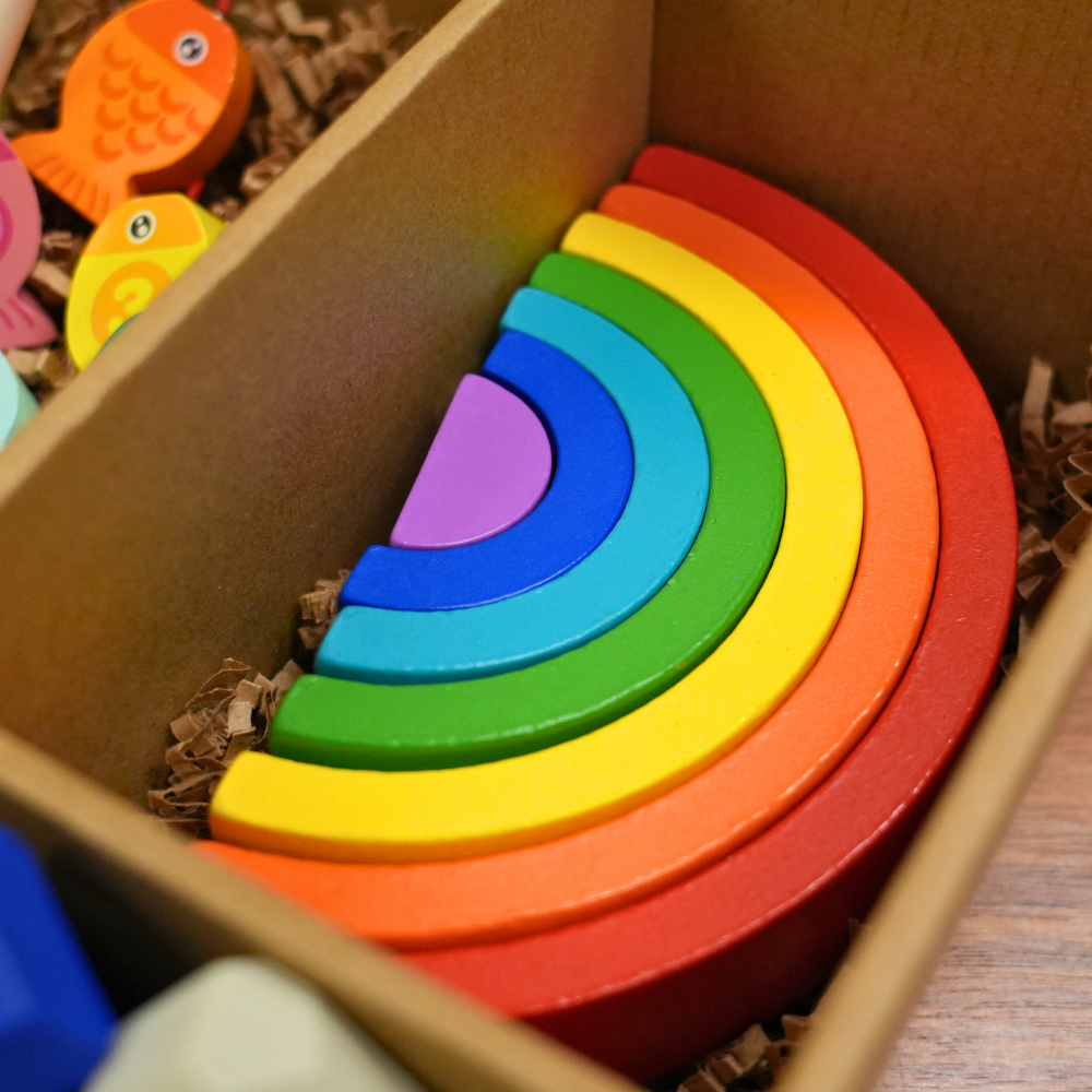 The Curious Explorer Montessori Toy Kit