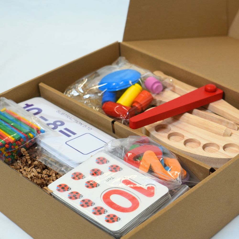 The Problem Solver Montessori Toy Kit